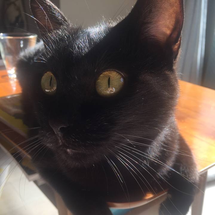 E722810e 0694 425f b310 262819cdbb62