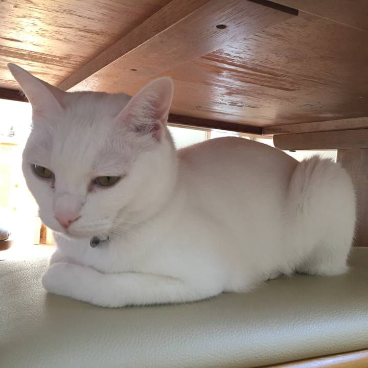 E7230d00 913d 4b00 b3c9 8a15125ae60b