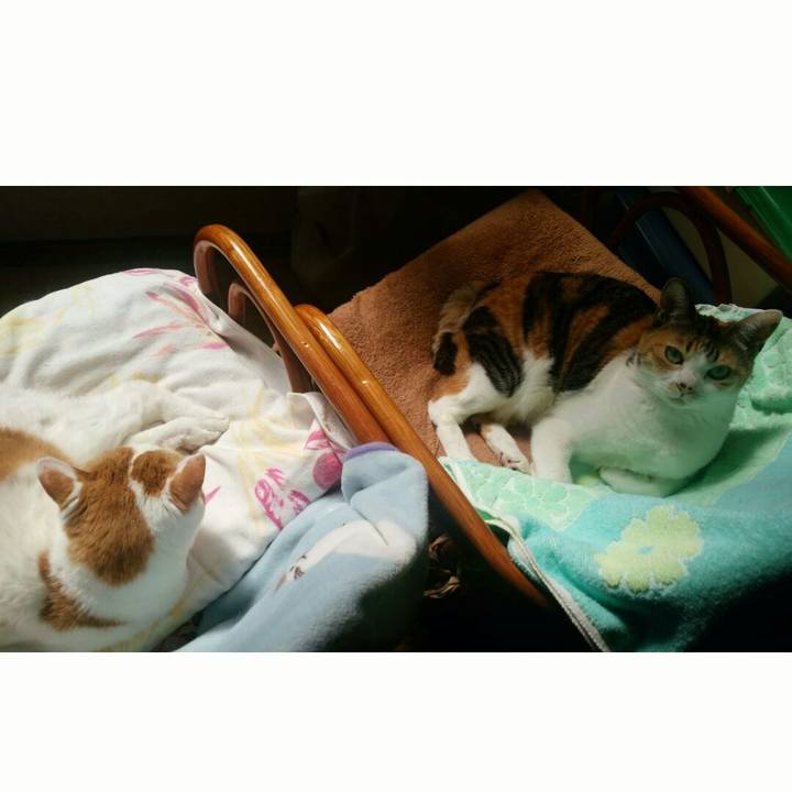 E72408e7 f9db 4a31 9bf1 cd92881590bb