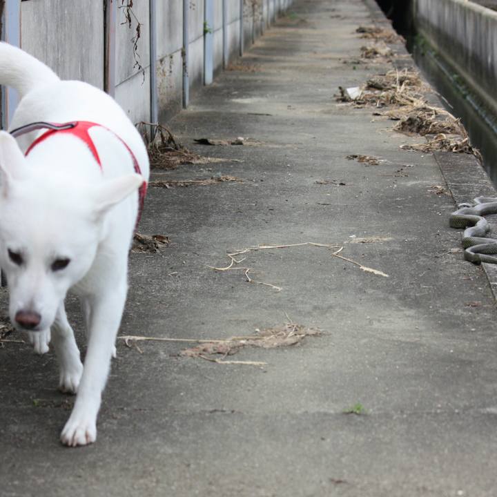 E7247852 4e6b 49e9 8bba 024d4fa1be10