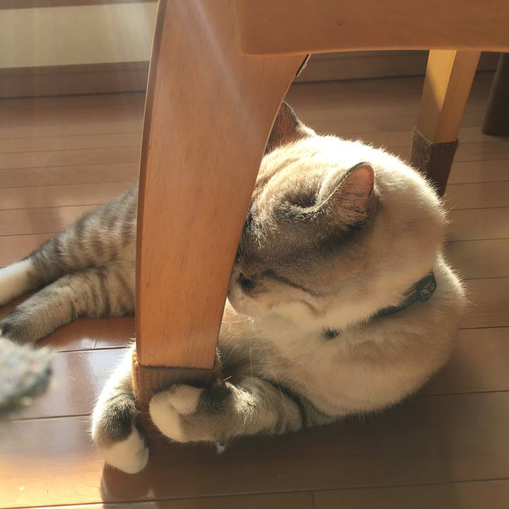 E724dfd1 7f4a 437f 8c9b 3fdcd1d25bfc