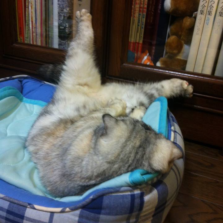 E724e64b 77c2 4c62 965e 864dff17f6aa