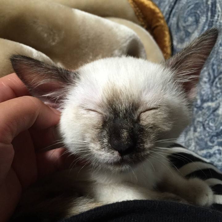 E725280b e9ed 4905 a725 05e943dd7e0d