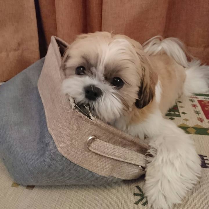 E72534d8 8537 4cc9 8929 bf94391fbb1a