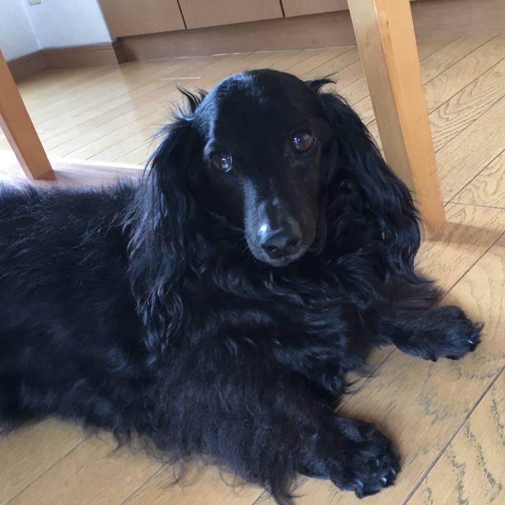 E725604c 2466 47c6 9e7f 464019668dbd