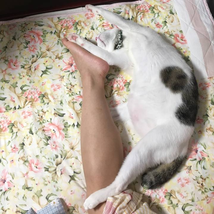 E7256c3e d322 484e 9c6a f798fae4f019