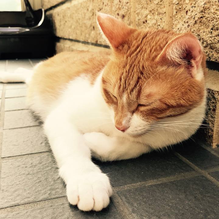 E725de0c 869e 475e bceb 905fcac77684