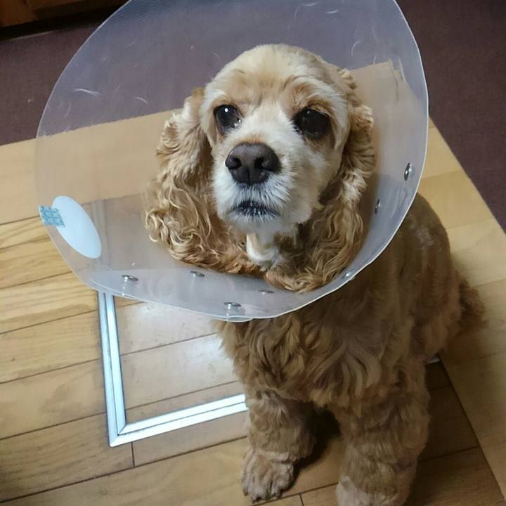 E726259e 981d 42e5 9e35 42d6ff1d5e6a