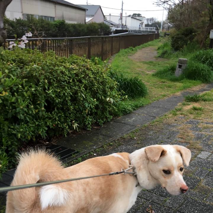 E726311f 79f4 4248 9eec 7c9fa4f67f15