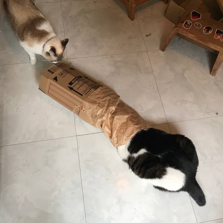 E7263606 9ec8 4252 80d5 848f0df3c4cc