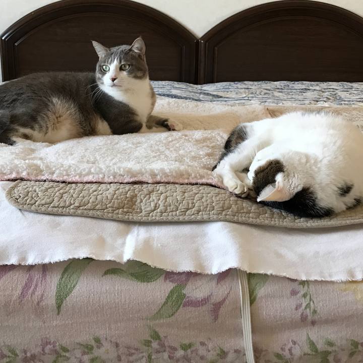 E728003e dda4 42b6 adf1 20a00e694dc5