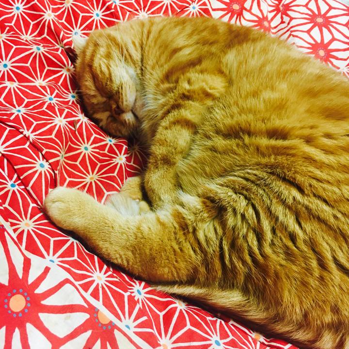 E728458d d9d5 4246 9637 737922292af9