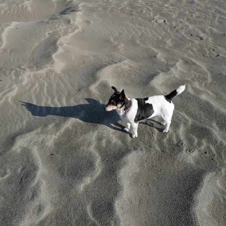 E7285ca9 9fb6 4dbe b77d a36ce693cebc