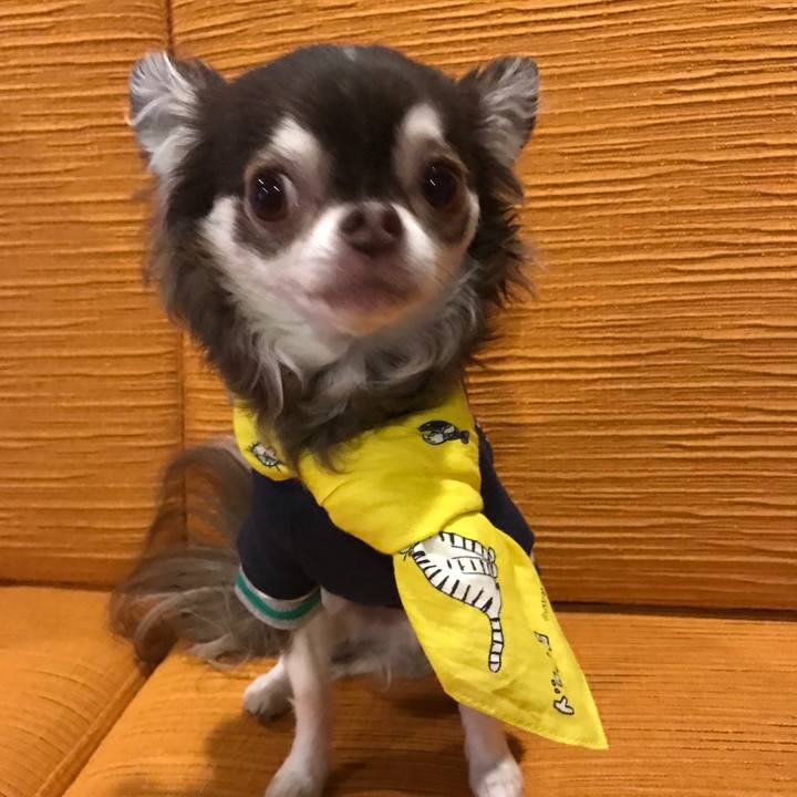 E728916c c130 4647 928c 32d61f90f033