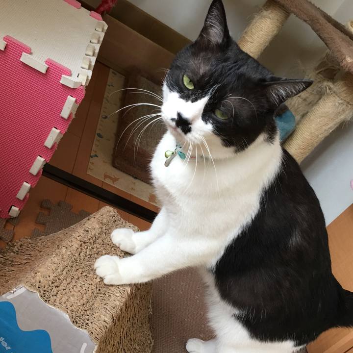 E728a4c2 a668 4c76 bf26 7ae642a17d70