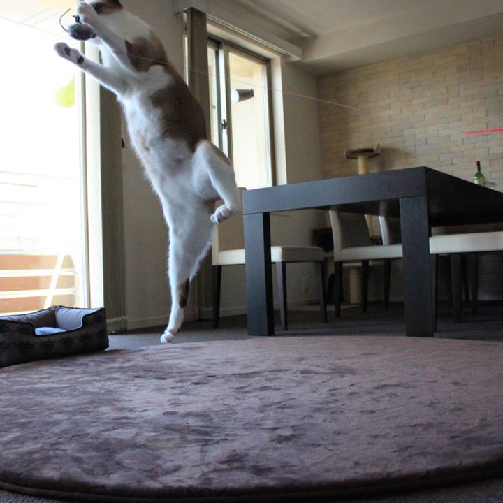 E7299770 74fb 442c ac02 5b50973fe169