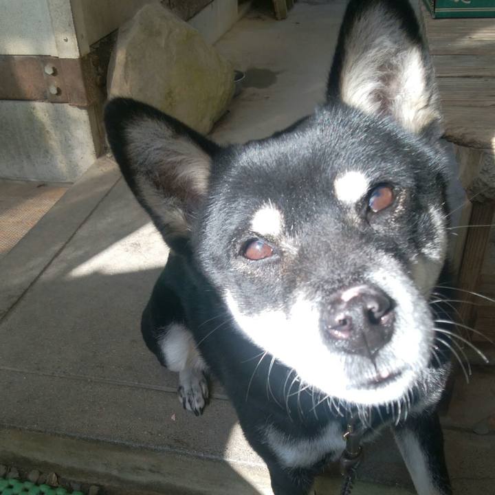 E729e9d3 1ad0 408d bb35 76479cd85fc1