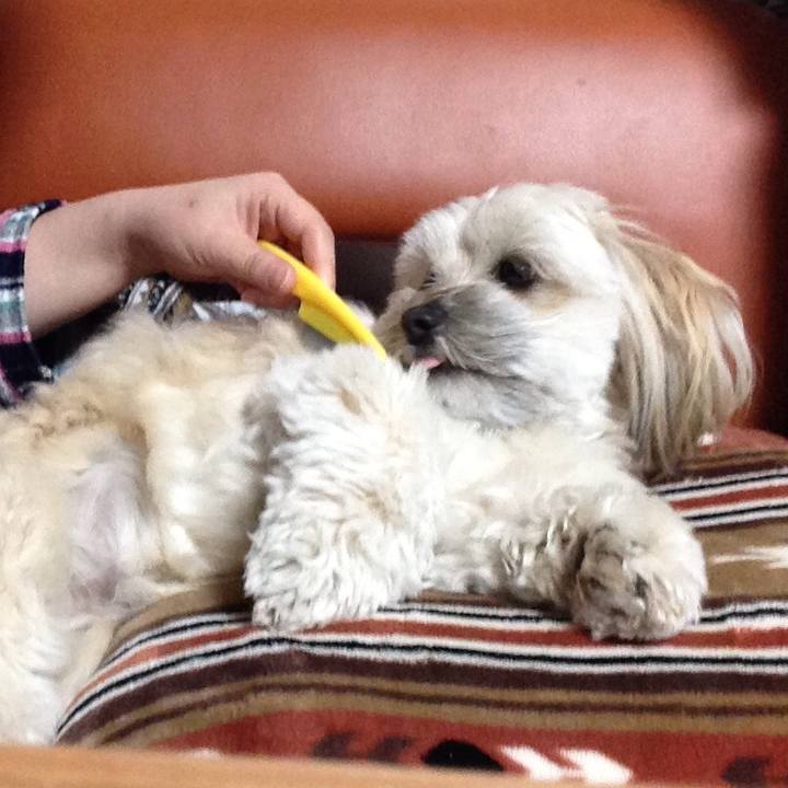 E72a0a88 b5cf 4e86 a953 d6cc5c10ba44