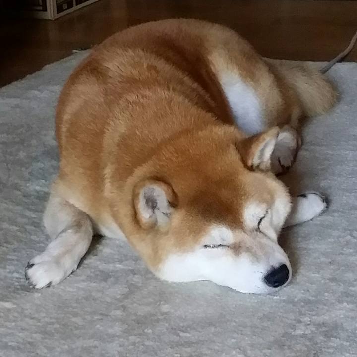 E72a239f 1ee6 4da4 9431 a8fb46f86fd2