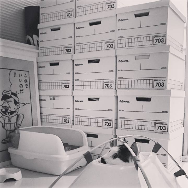 E72af299 6677 485c ab17 26b0daa5032e