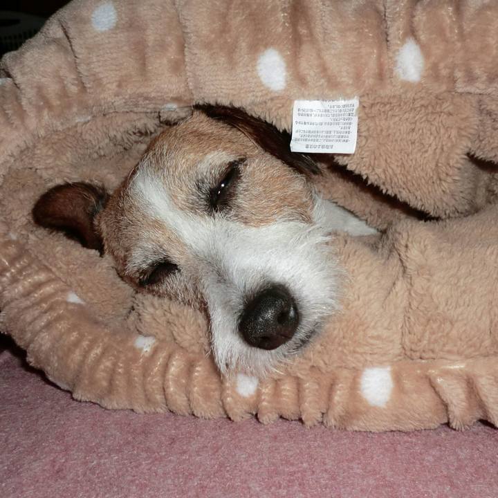 E72b7f0d 43f6 4253 afce abe076410998