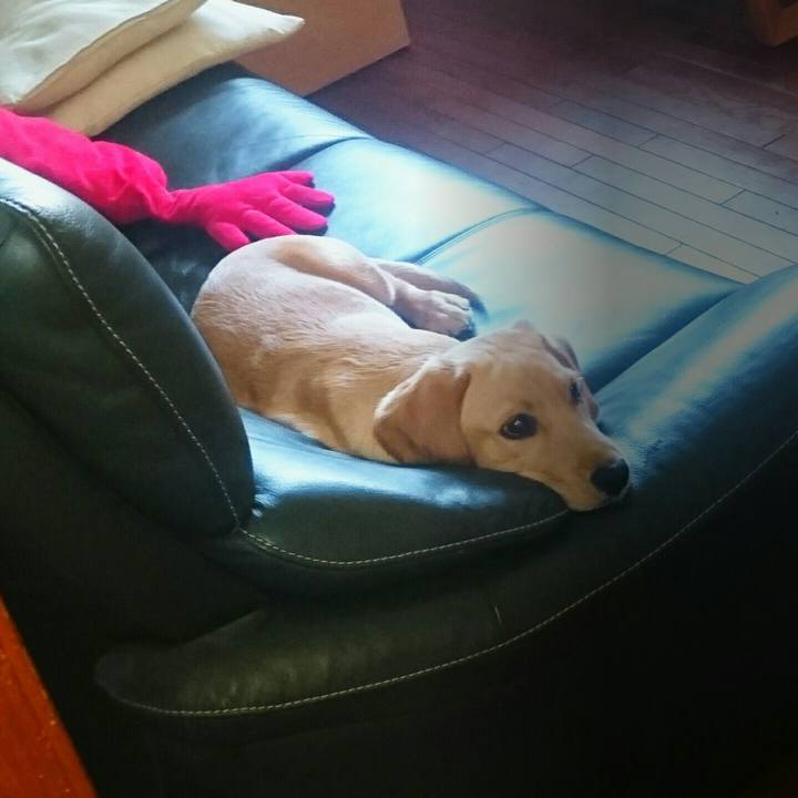 E72d2396 415c 4c2c 8bbb 1a77d62a0a9e