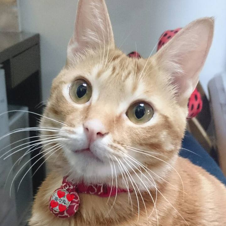 E72da7f9 5f1b 4806 9549 7ef50071d1a5