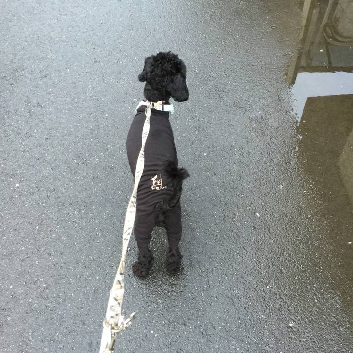 E72df3f0 585e 4736 89c2 4da79bc079bd