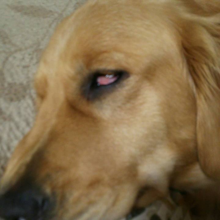 E72e041b 33d0 4a73 9e53 85ce3d572c58