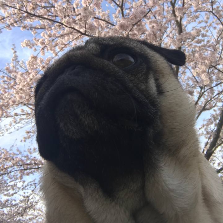 E72e3304 1df3 49b4 855d 57529bb4608c