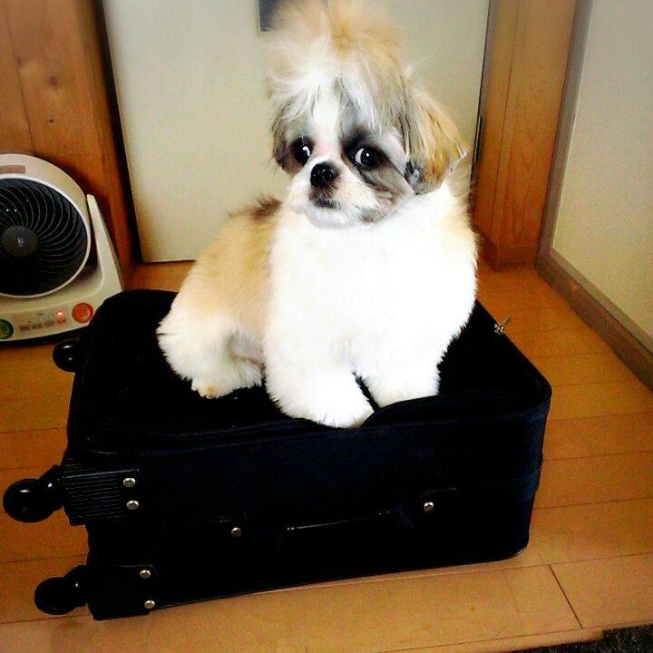 E72e566e 762f 461a 9f80 8377a1268bde