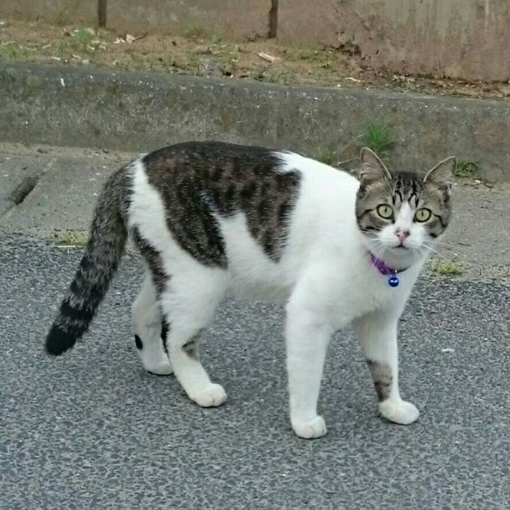 E72ed7c5 b80b 4ef4 a239 95b4d112f43f