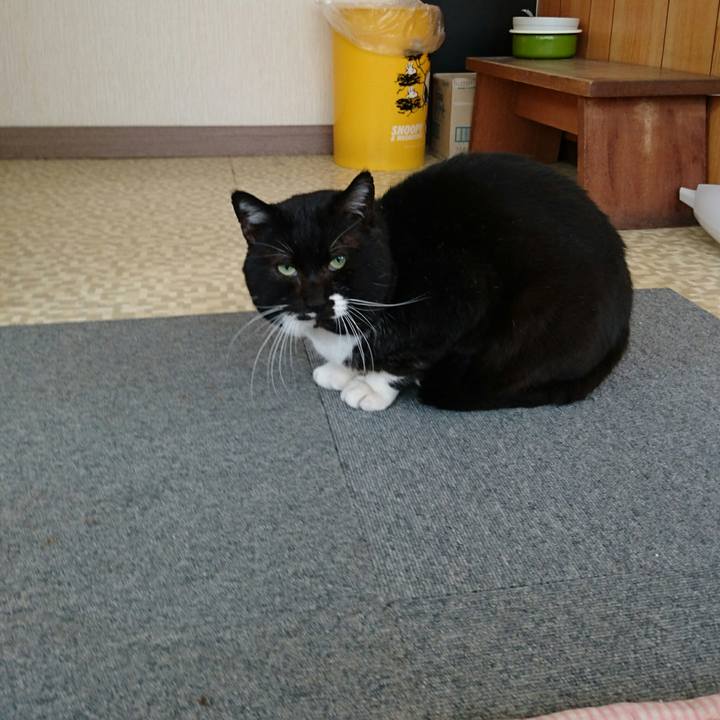 E72ee777 b12e 4f32 a5f0 bc598fa9538e