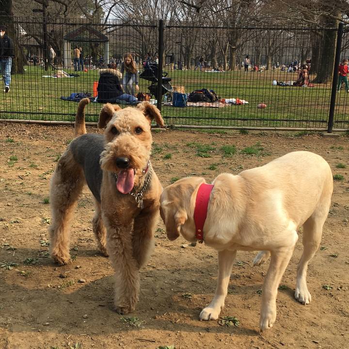 E72eead8 397f 4877 b3d0 a19d0578a5f5