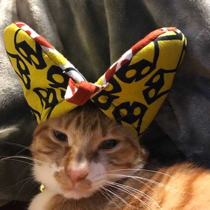 E72f5bbd 7b10 4aaa a413 b3614d7ea4de