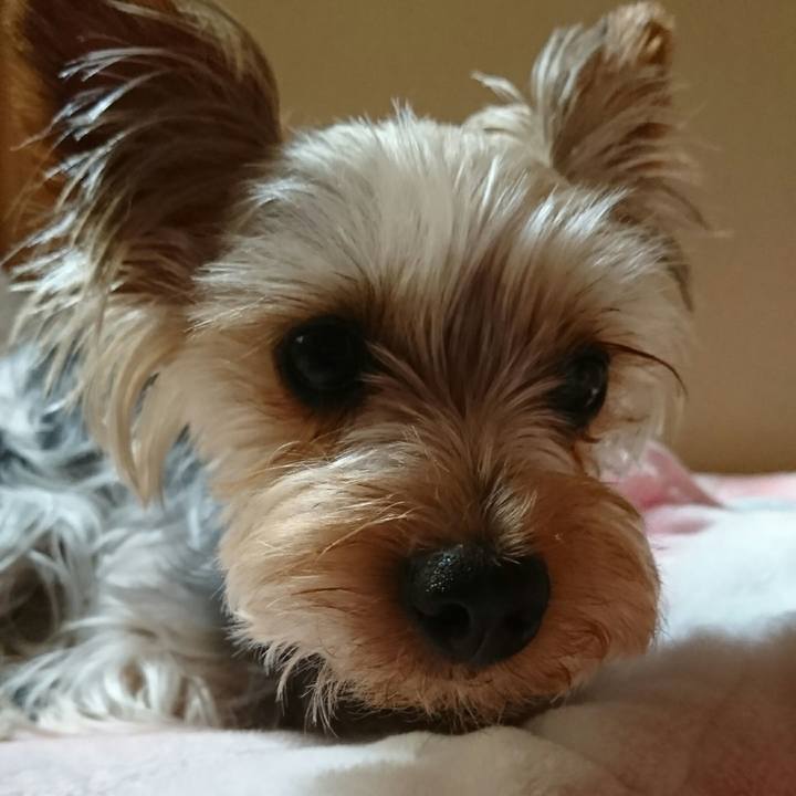 E72f73e7 154c 4487 9534 7bd737d59275