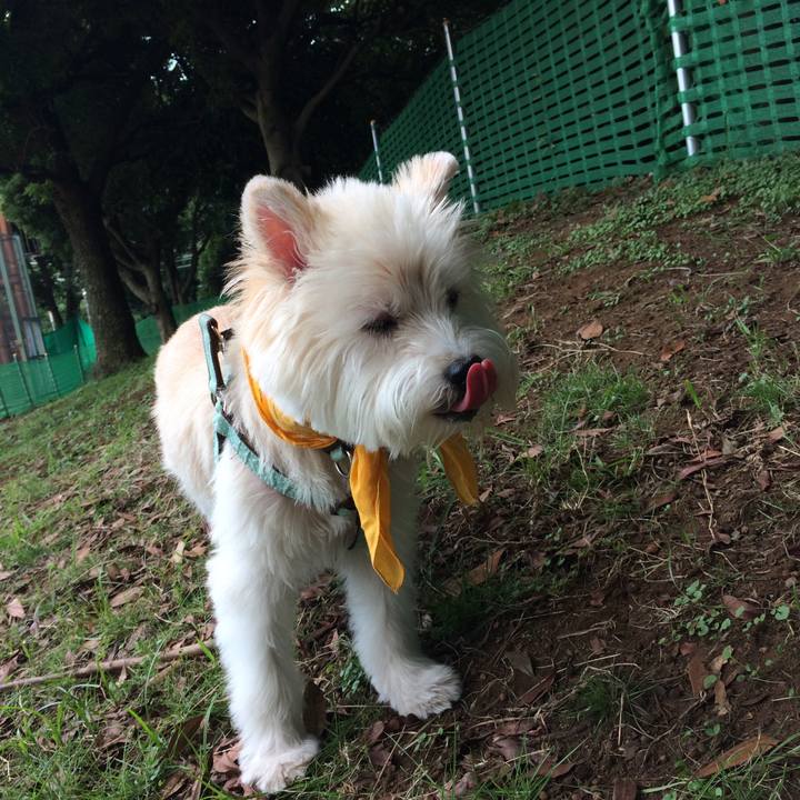 E72fdd5d 6392 4091 95c2 2b9a256033e3