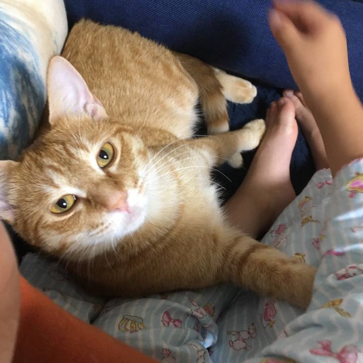 E72ff251 e48d 4e09 932b 81357d860eae