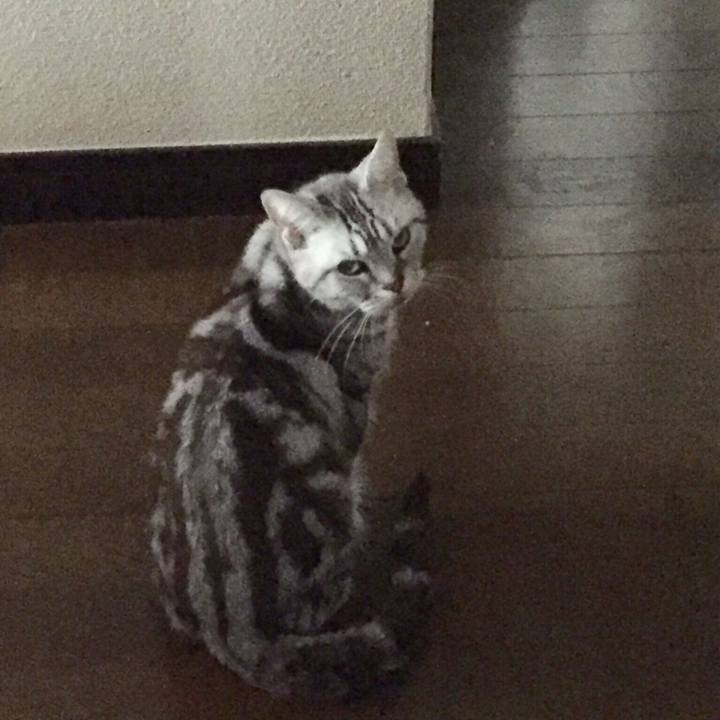 E7301246 fc0a 4d55 92a3 e5d911b4f4b5