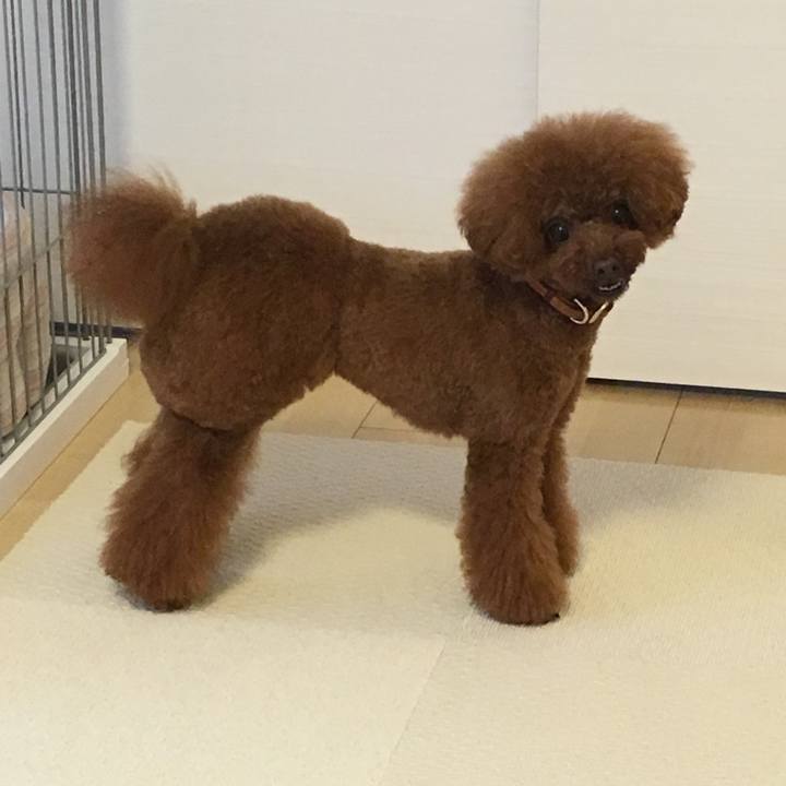 E7303f81 0311 4ead 999d 5181ada4a6b7