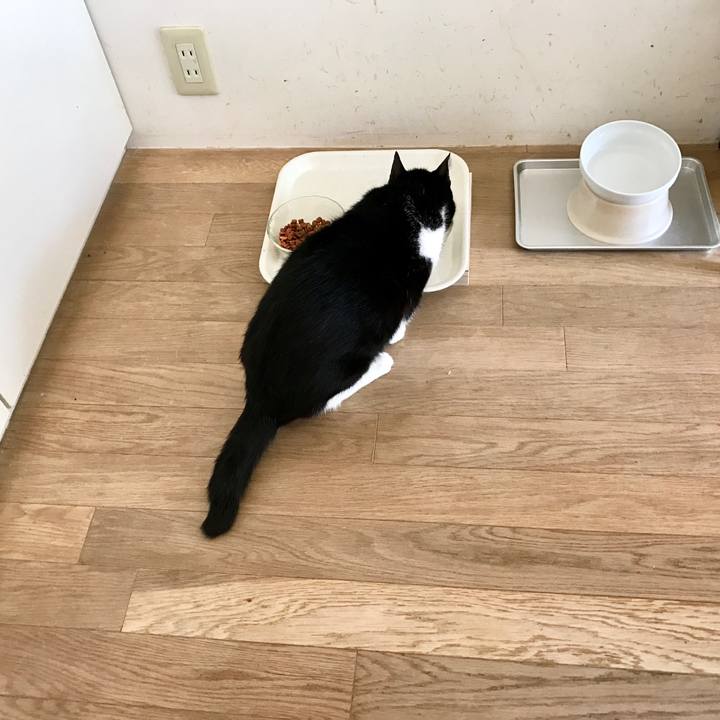 E730a99d d47f 4b88 b948 c773dbfe6dfe