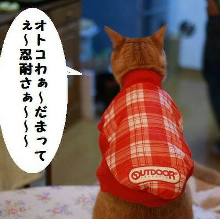 E73152c5 dbd1 4f69 bd66 42554f5c0e8f