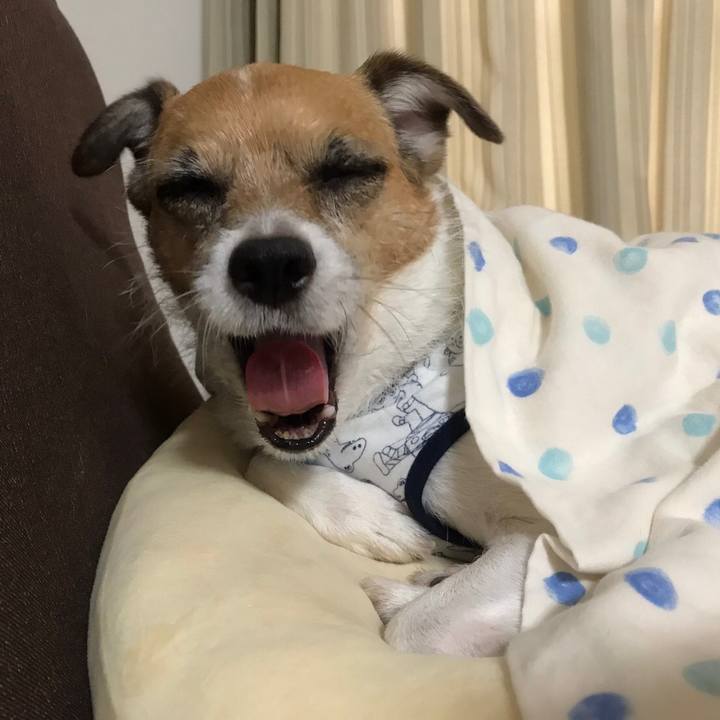 E7316b0c d289 4a57 87fd 81484d7df06f