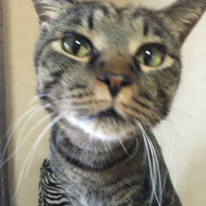 E7319024 d299 427a bfa4 a0909bfd2e8a