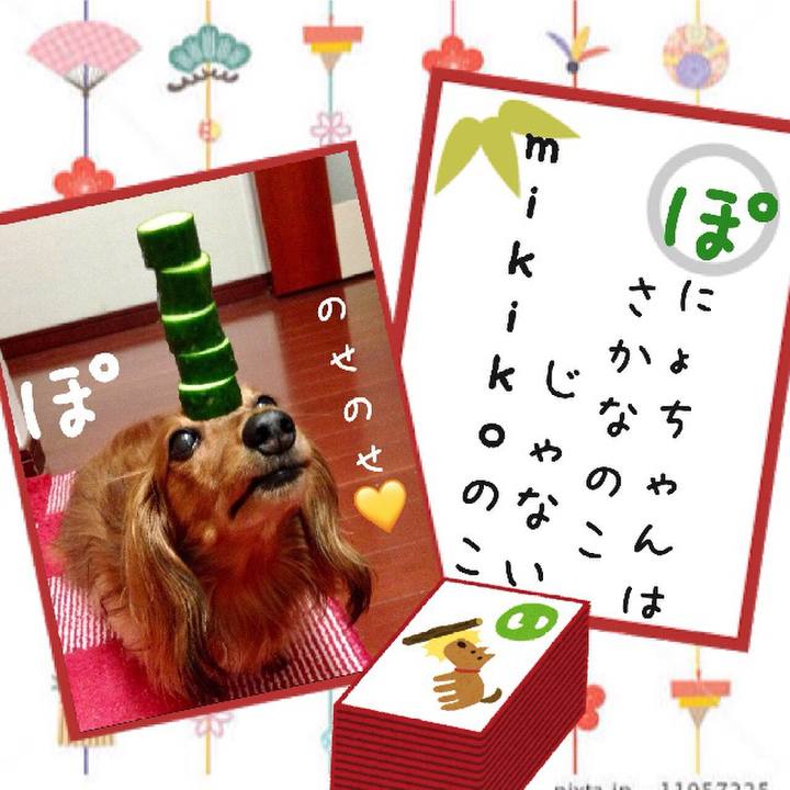 E731ac0c 763d 4416 9967 5141067f4d7e