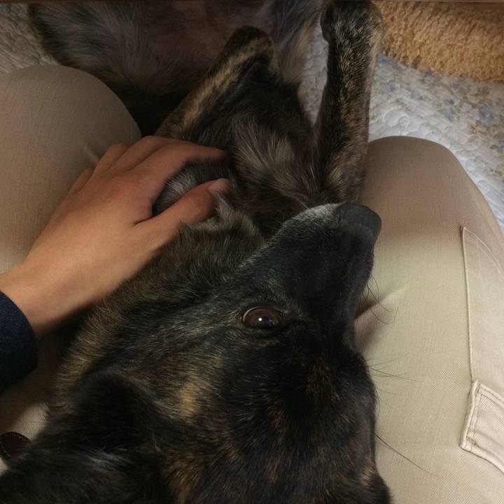 E7331a63 28a4 4232 9b1f 9c0eca69f08f