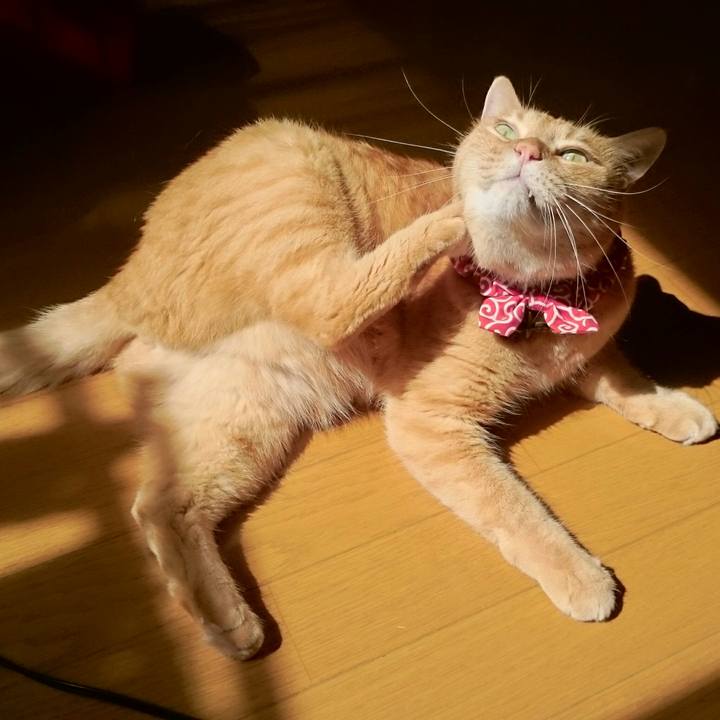 E7336d24 b96c 4365 87d5 b6690cf0d83a