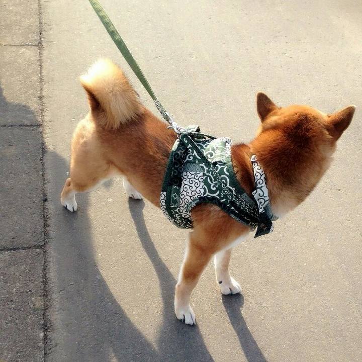 E733f6bf 6796 489d a56a 4381506e1a41