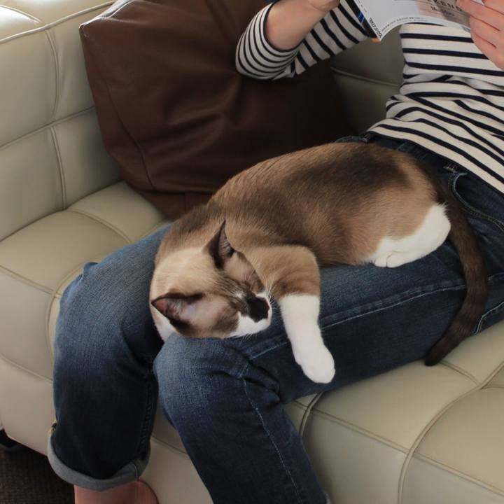 E7345013 1082 4a46 aa6c 3effe61afdb1