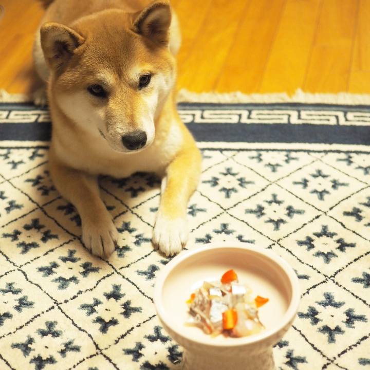 E7346660 bdaa 4908 b93b e074dc505055